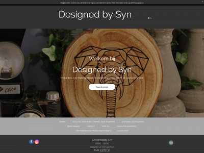 d-bysyn.nl snapshot