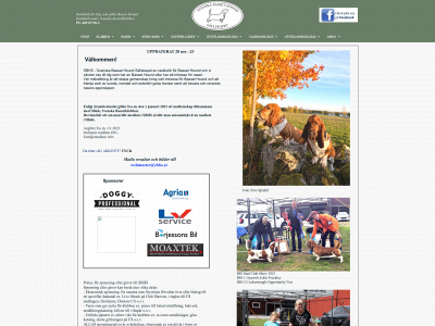 sbhs.se snapshot
