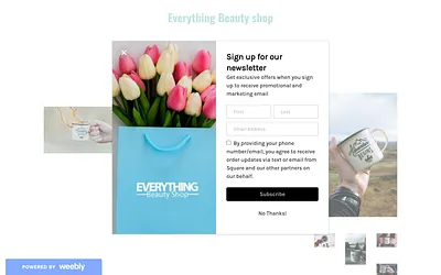 everything-ly.weebly.com snapshot