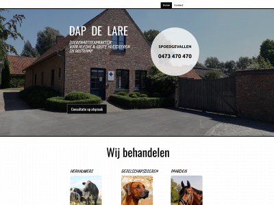 dapdelare.be snapshot