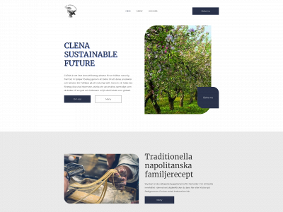 ricce.se snapshot