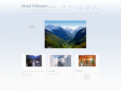 videseter.com snapshot
