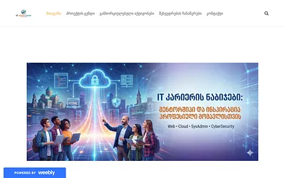 itcarier.weebly.com snapshot