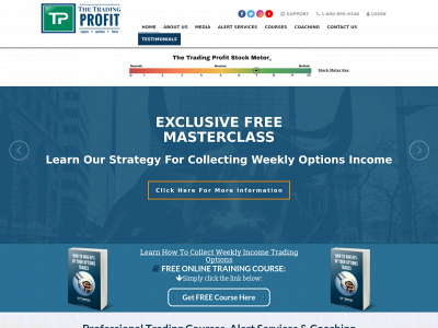 thetradingprofit.com snapshot