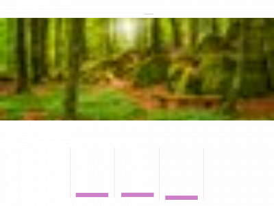anjasaletti.com snapshot