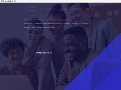 roimarketingllc.com snapshot
