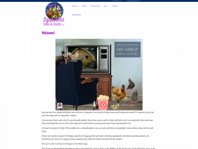 sccllc.site snapshot