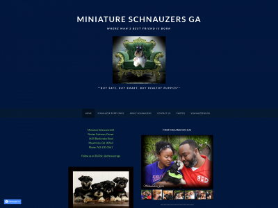 www.northgeorgiaschnauzers.com snapshot