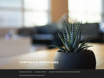 operational-guidance.com snapshot