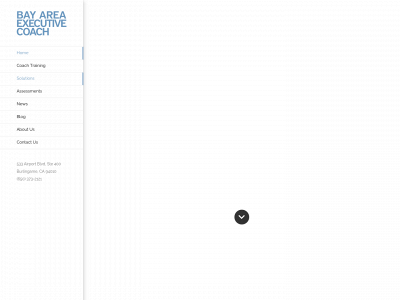 bayareaexecutivecoach.com snapshot