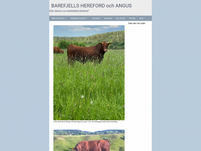 barefjells-hereford.se snapshot