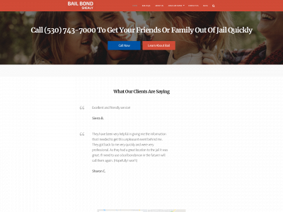 www.bailbondshealy.com snapshot