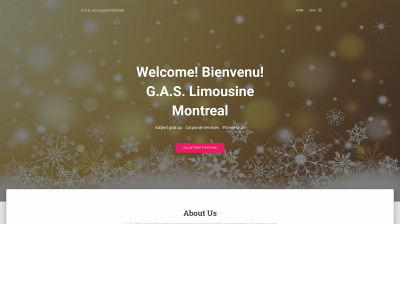 gaslimo.com snapshot
