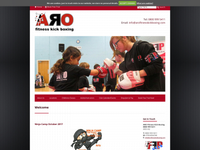 arofitnesskickboxing.co.uk snapshot