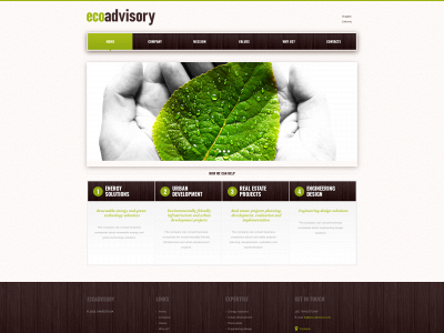 eco-advisory.com snapshot