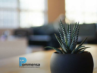 pommensa.com snapshot