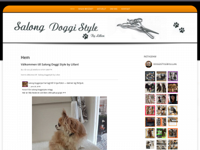 salongdoggistyle.se snapshot