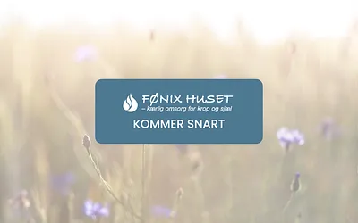 foenixhuset.dk snapshot