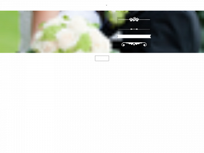 siljeogoddgeir.no snapshot