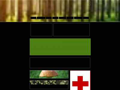 nossemark.se snapshot