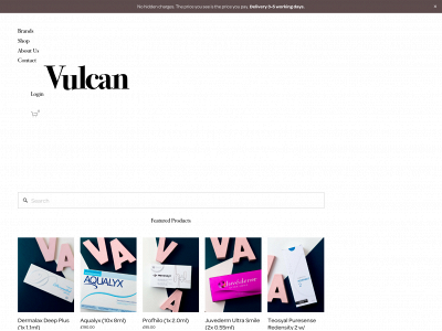 vulcanaesthetics.com snapshot