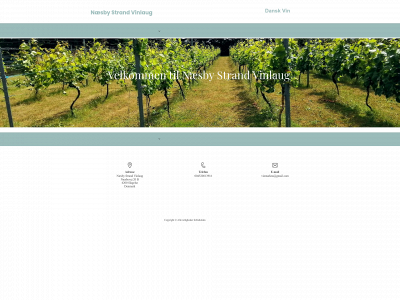 naesby-strand-vinlaug.dk snapshot