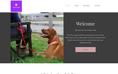 lilyslead.co.uk snapshot