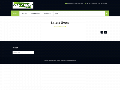 actionturfokc.com snapshot