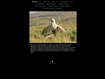 huntinggoshawks.co.uk snapshot