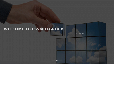 essacogroup.com snapshot