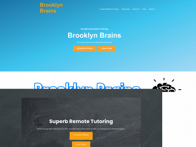 bkbrains.com snapshot
