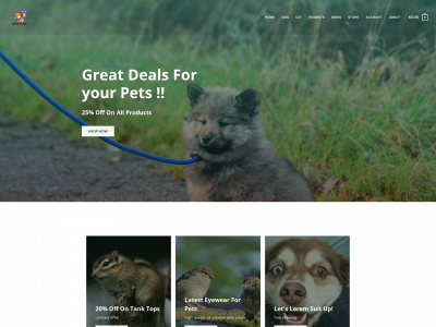 ridofpimplequick.com snapshot