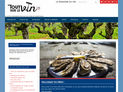 toutsurlevin.ca snapshot