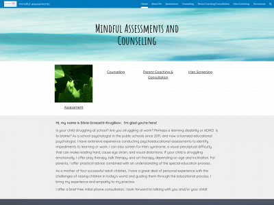 mindful-assessments.com snapshot