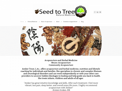 seedtotreenaturalmedicine.com snapshot