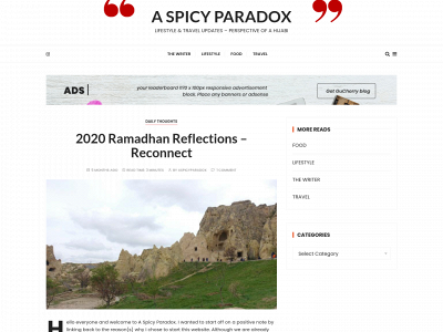 aspicyparadox.com snapshot