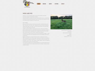 stalvdf.be snapshot