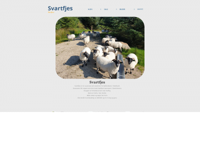svartfjes.no snapshot
