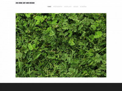 avakunzdesigns.weebly.com snapshot