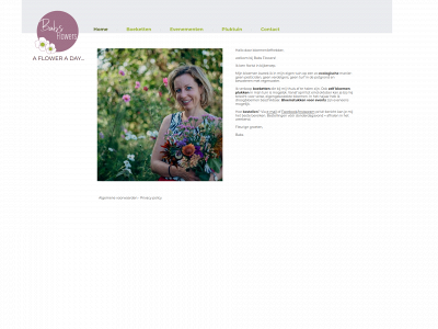 babsflowers.be snapshot
