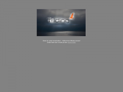 triding.se snapshot