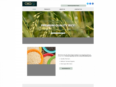 cmdbugasan.store snapshot