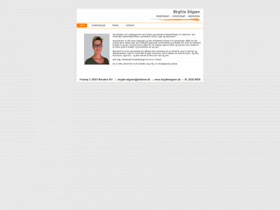 birgittestigsen.dk snapshot
