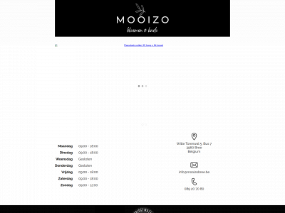 mooizobree.be snapshot