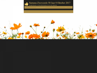 samanazwevezele.com snapshot