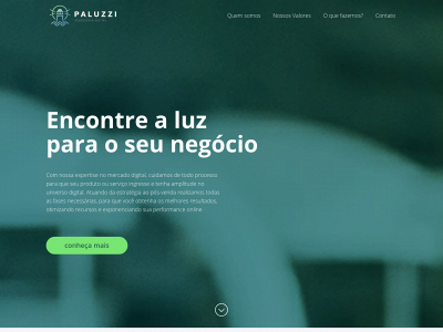 paluzzi.com.br snapshot