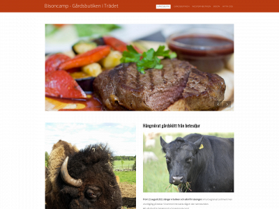 bisoncamp.se snapshot