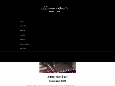 kapsalonnanette.nl snapshot