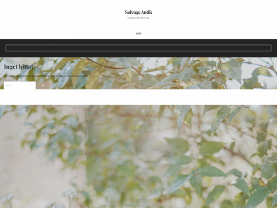 salvage-antik.se snapshot