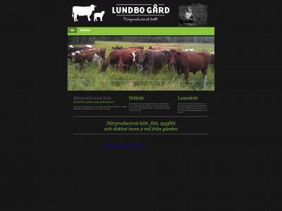 lundbogard.se snapshot
